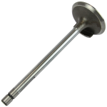 Intake valve with plug